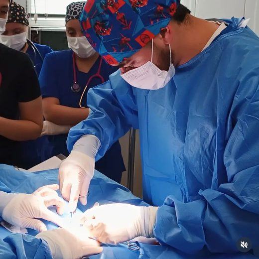 Cirugía veterinaria